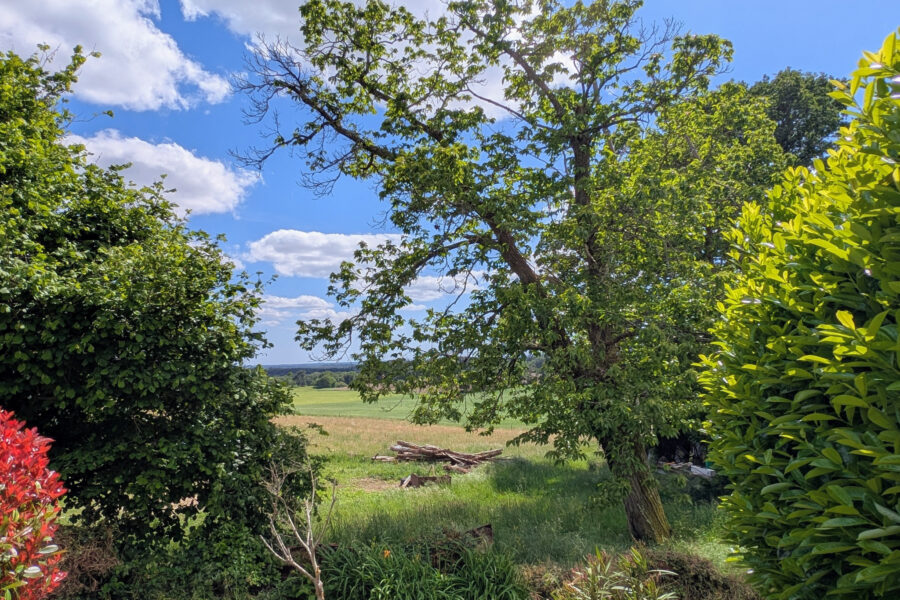 Maison à vendre à Saint-nolff — Vue nature — photo 12