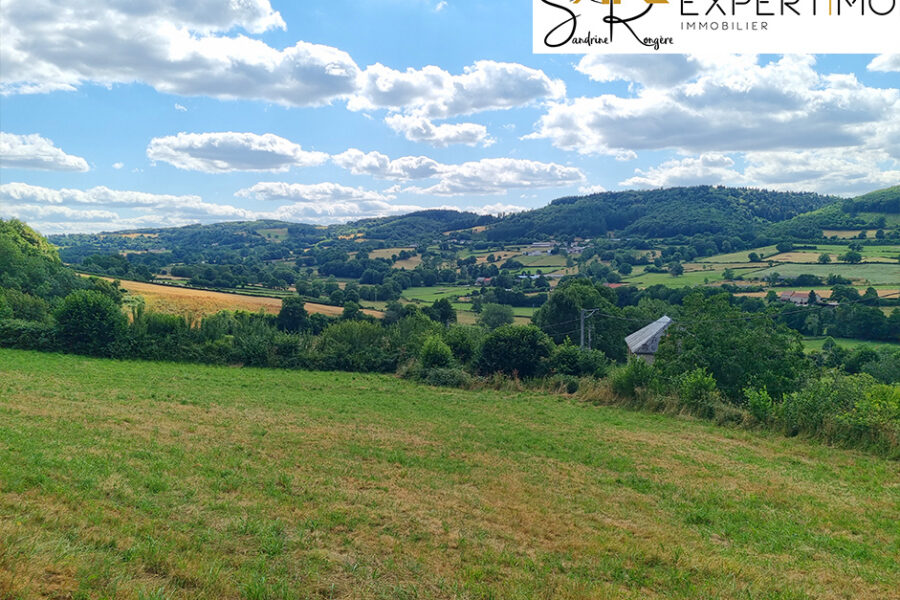 Maison à vendre à Teilhet — Vue nature — photo 5