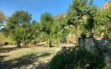 Maison à vendre à Colombières-sur-orb — Vue montagne — photo 9