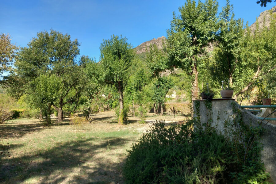 Maison à vendre à Colombières-sur-orb — Vue montagne — photo 9