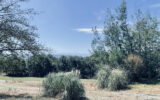 Maison à vendre à Mondavezan — Vue nature — photo 8