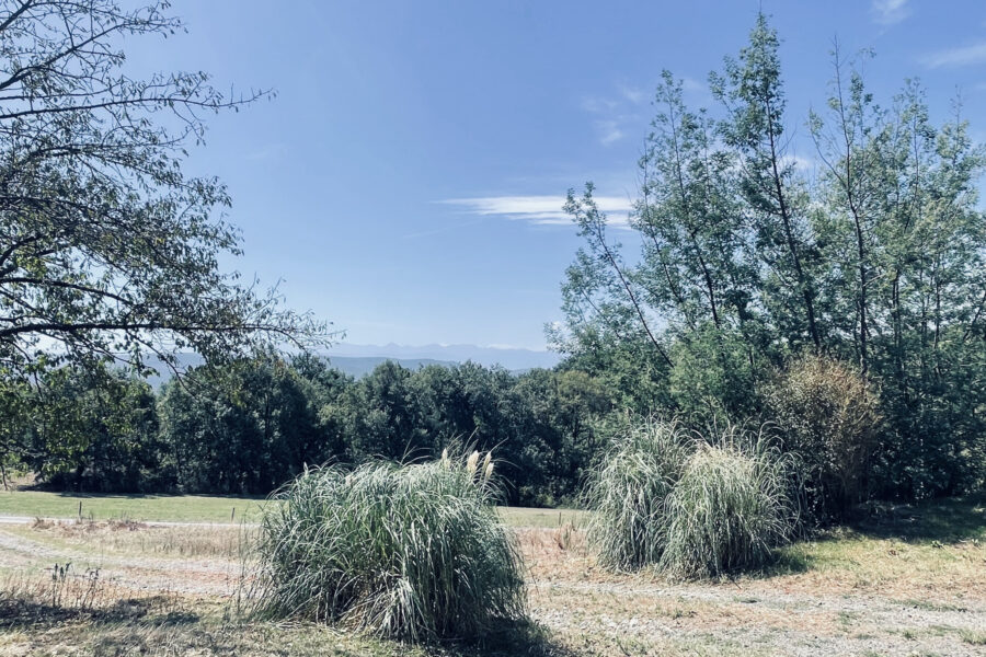 Maison à vendre à Mondavezan — Vue nature — photo 8
