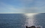 Appartement à vendre à Cannes — Vue mer — photo 8