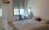 Appartement à louer à Saint-martin-en-haut — Vue nature — photo 4