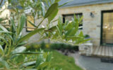 Maison à vendre à Saint-avé — Vue vignes — photo 2