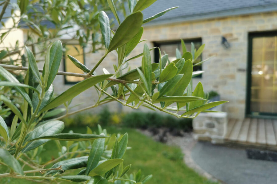 Maison à vendre à Saint-avé — Vue vignes — photo 2