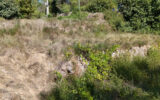 Terrain à vendre à Carcès — Vue nature — photo 10