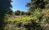 Terrain à vendre à Laudun-l&rsquo;ardoise — Vue nature — photo 1