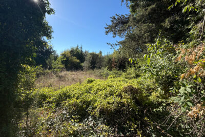 Terrain à vendre à Laudun-l&rsquo;ardoise