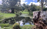 Maison à vendre à Vimoutiers — Vue nature — photo 1