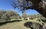Terrain à vendre à Moissac-bellevue — Vue nature — photo 7
