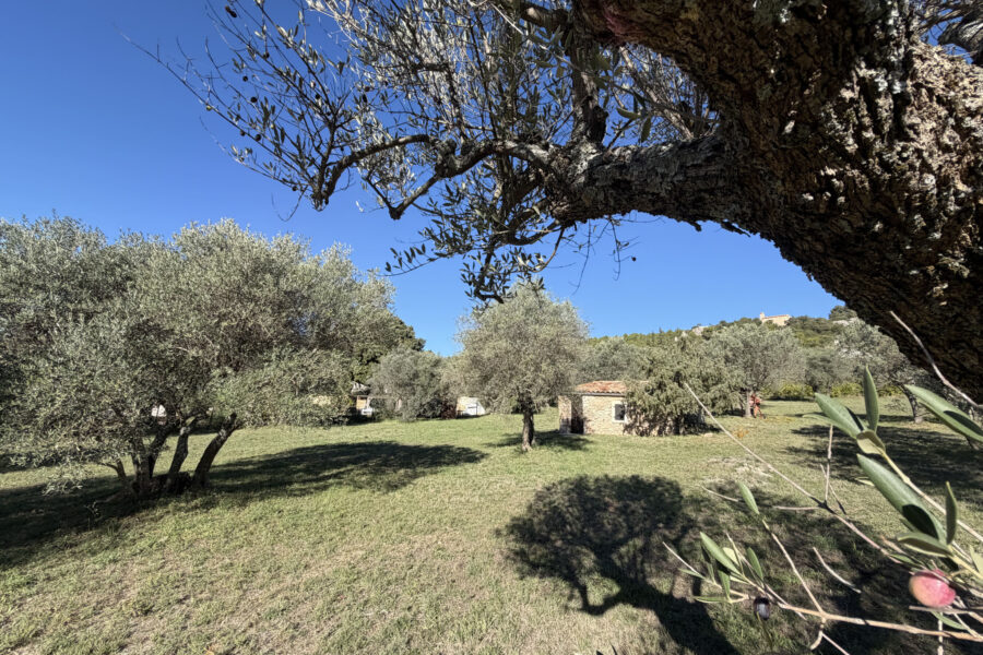 Terrain à vendre à Moissac-bellevue — Vue nature — photo 7