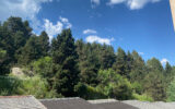 Appartement à vendre à Font-romeu-odeillo-via — Vue nature — photo 4