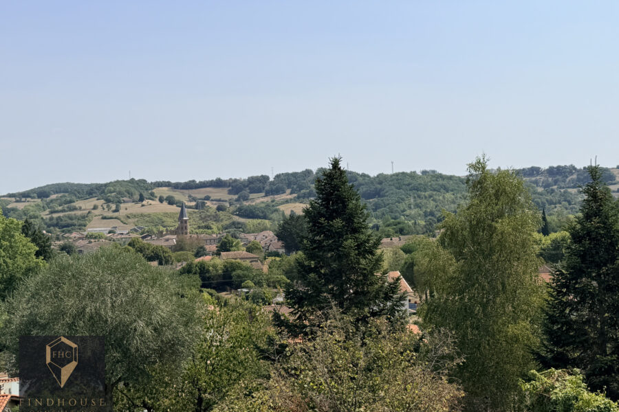 Maison à vendre à L&rsquo;isle-en-dodon — Vue nature — photo 16