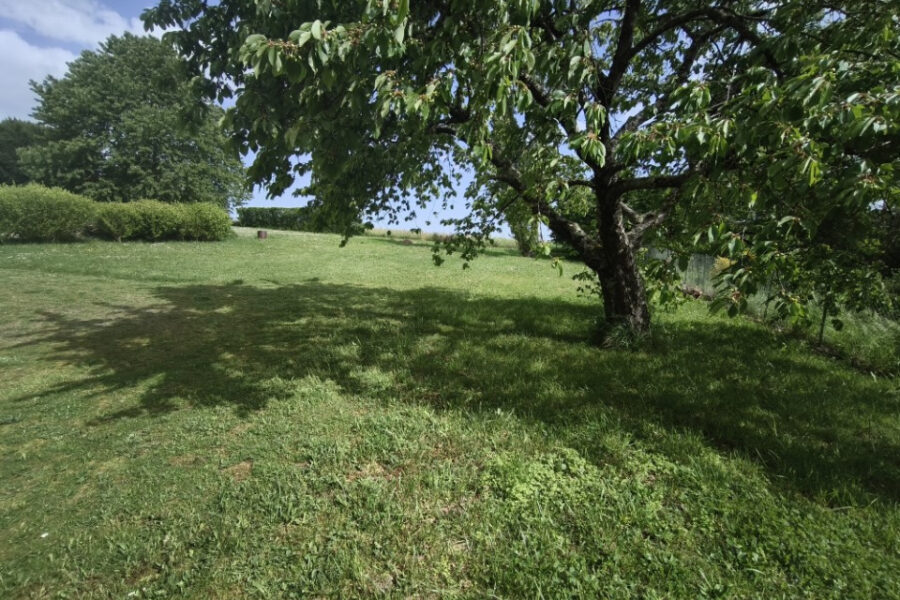 Terrain à vendre à Rieumes — Vue nature — photo 4