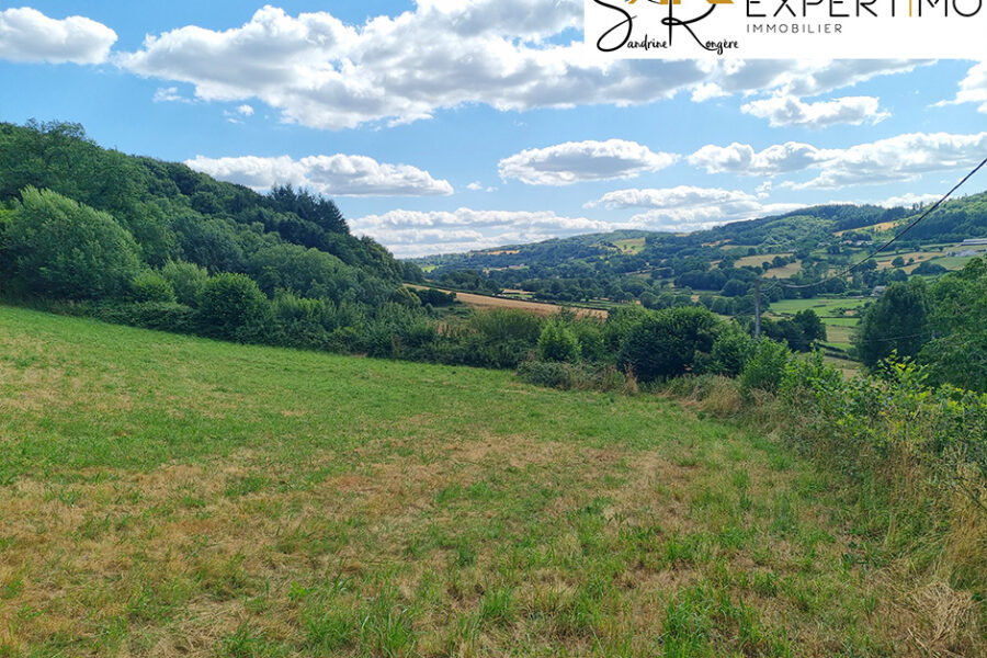 Maison à vendre à Teilhet — Vue nature — photo 6