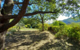 Maison à vendre à Colombières-sur-orb — Vue montagne — photo 10