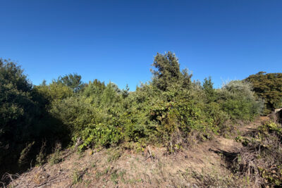 Terrain à vendre à Laudun-l&rsquo;ardoise