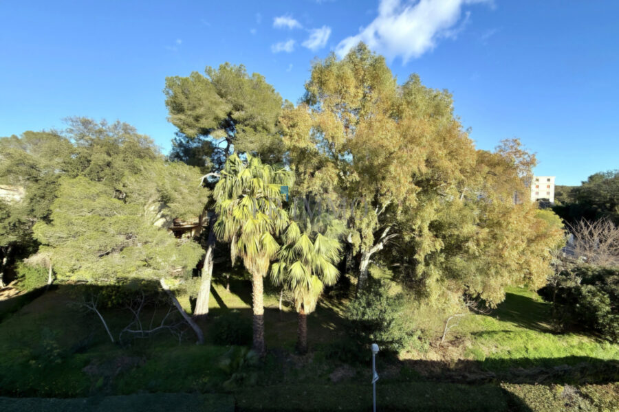 Appartement à vendre à Boulouris — Vue parc & jardin — photo 8