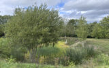 Maison à vendre à Vimoutiers — Vue nature — photo 15