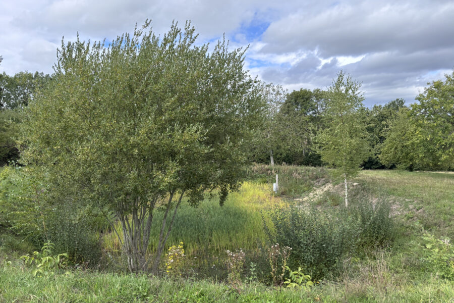 Maison à vendre à Vimoutiers — Vue nature — photo 15