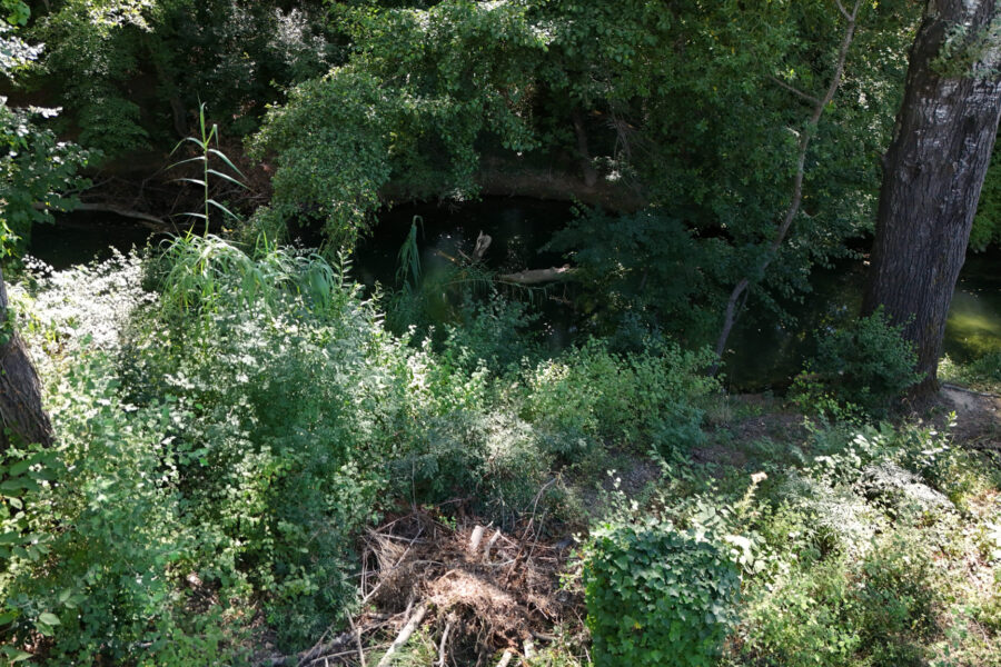 Terrain à vendre à Carcès — Vue nature — photo 12