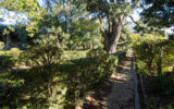 Maison à vendre à Saint-félix-de-lodez — Vue nature — photo 17