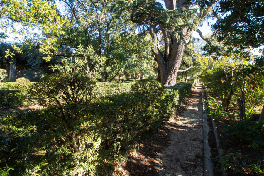 Maison à vendre à Saint-félix-de-lodez — Vue nature — photo 17