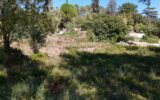 Terrain à vendre à Carcès — Vue nature — photo 3