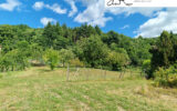 Maison à vendre à Teilhet — Vue nature — photo 7