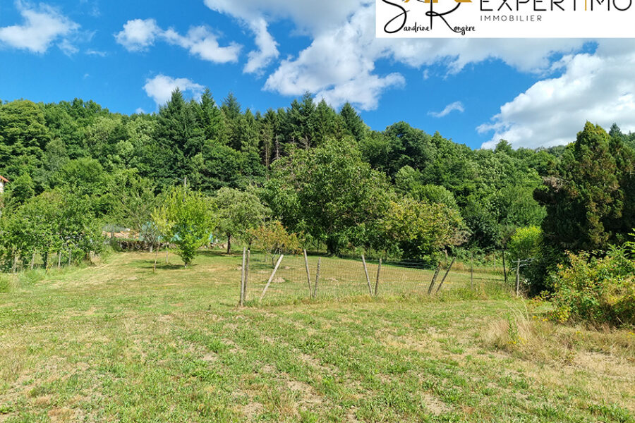Maison à vendre à Teilhet — Vue nature — photo 7