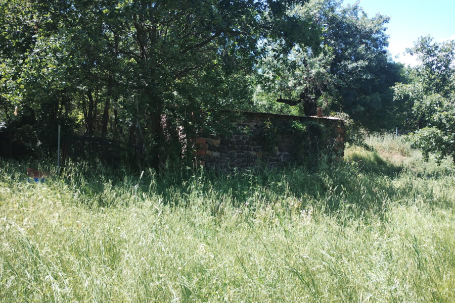 Terrain à vendre à Lacoste — Vue nature — photo 9