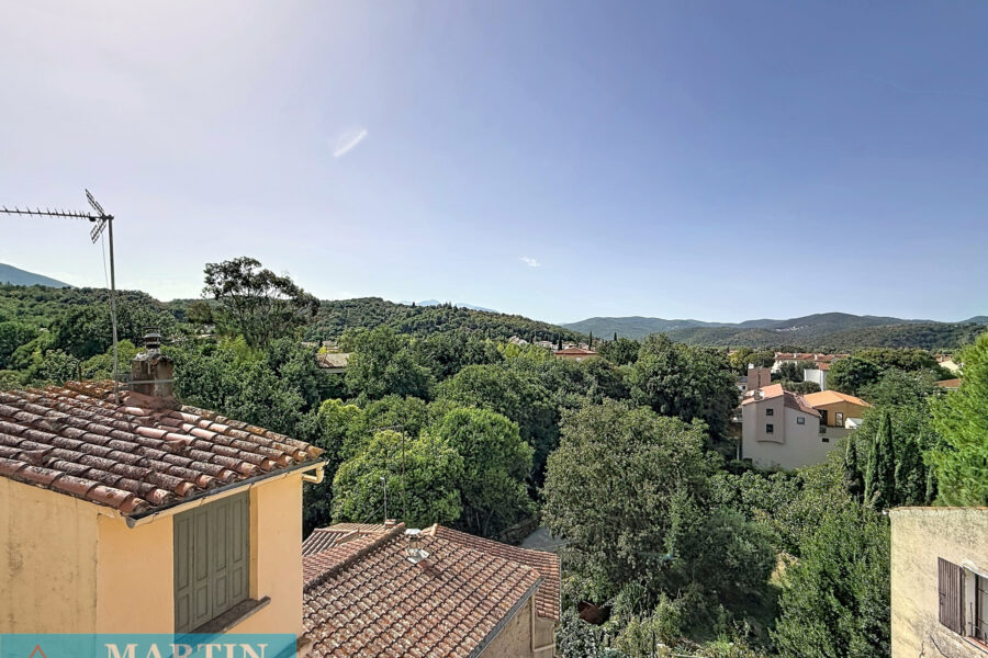 Maison à vendre à Céret — Vue nature — photo 18
