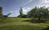 Terrain à vendre à Rieumes — Vue nature — photo 1