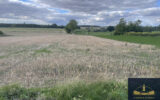 Terrain à vendre à Lattre-saint-quentin — Vue nature — photo 1