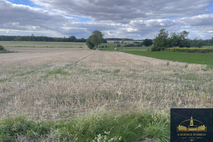 Terrain à vendre à Lattre-saint-quentin — Vue nature — photo 1