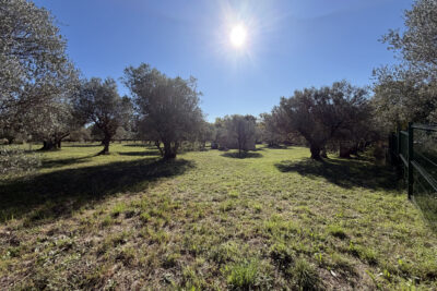 Terrain à vendre à Moissac-bellevue