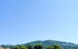 Appartement à vendre à Cannes — Vue nature — photo 1