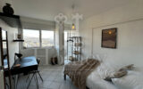Appartement à louer à Gaillard — Vue sur la ville — photo 6