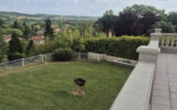 Maison à vendre à L&rsquo;isle-en-dodon — Vue nature — photo 3