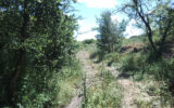 Terrain à vendre à Lacoste — Vue nature — photo 8
