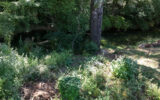 Terrain à vendre à Carcès — Vue nature — photo 14