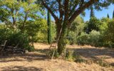 Terrain à vendre à Carcès — Vue dégagée — photo 1
