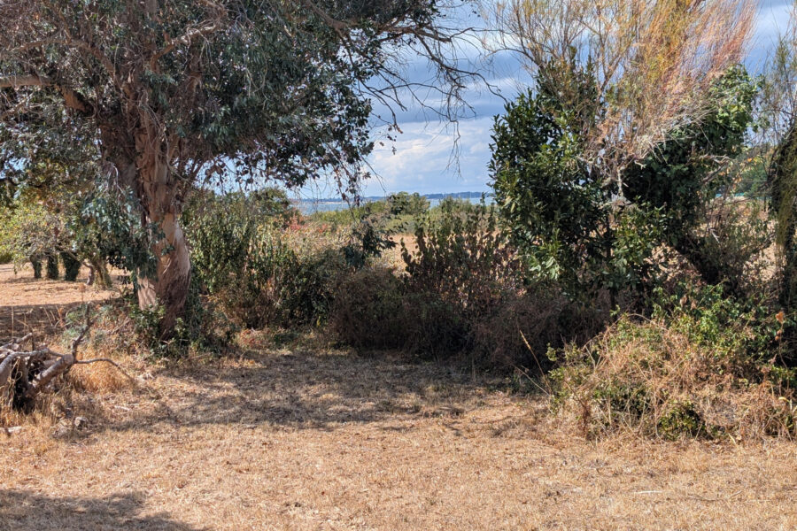 Maison à vendre à Saint-armel — Vue mer — photo 4