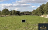 Terrain à vendre à Lattre-saint-quentin — Vue nature — photo 1