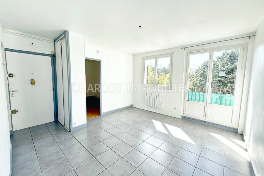 Appartement à vendre à Lyon — Vue parc & jardin — photo 3
