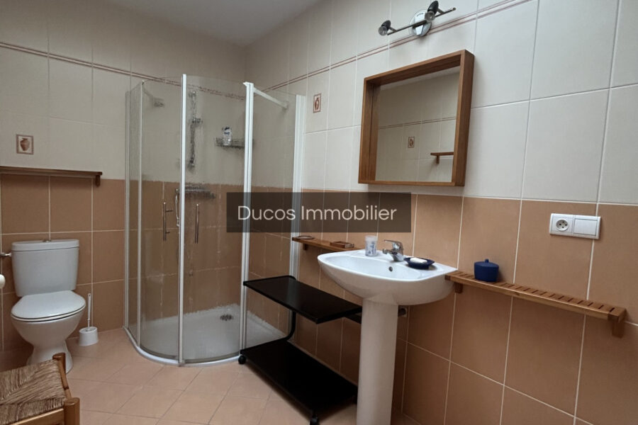 Maison à vendre à Beaupuy — Vue lac — photo 18