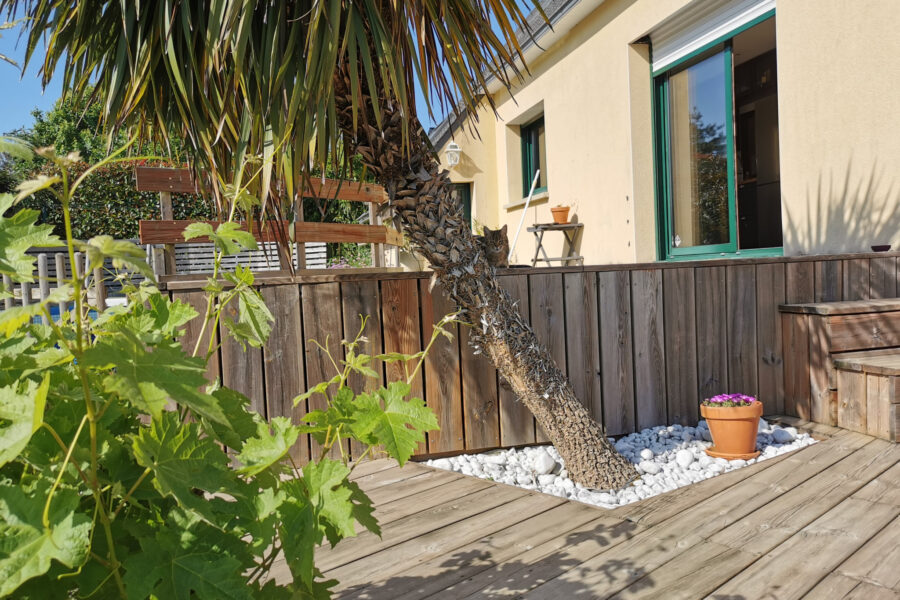 Maison à vendre à Saint-avé — Vue vignes — photo 12