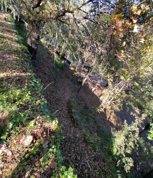 Terrain à vendre à Salernes — Vue nature — photo 7