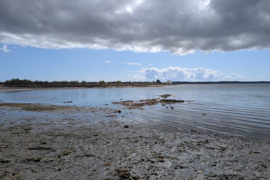 Maison à vendre à Saint-armel — Vue mer — photo 1